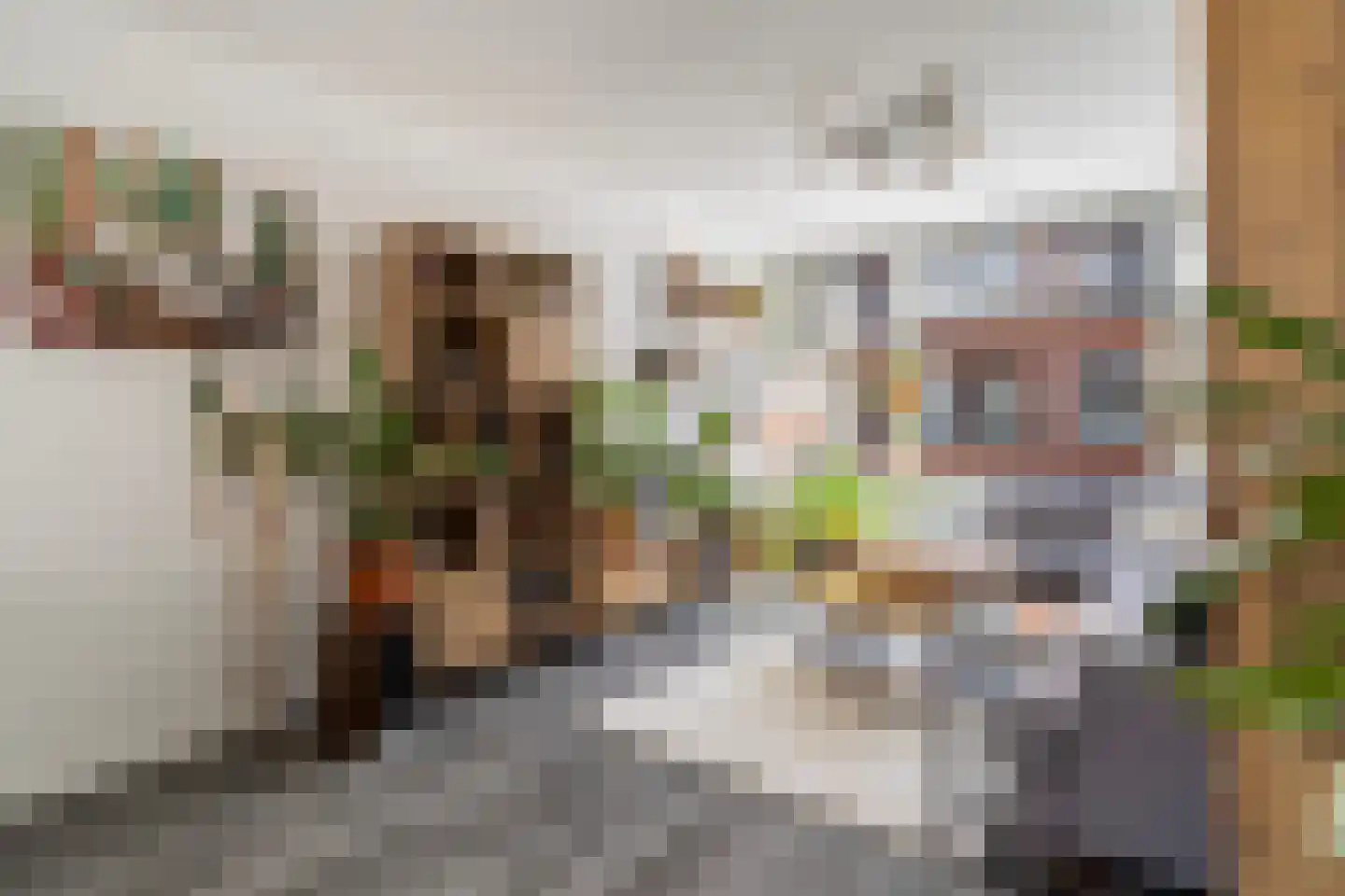 Bisschopstraat 21 B Rotterdam thumbnail 7