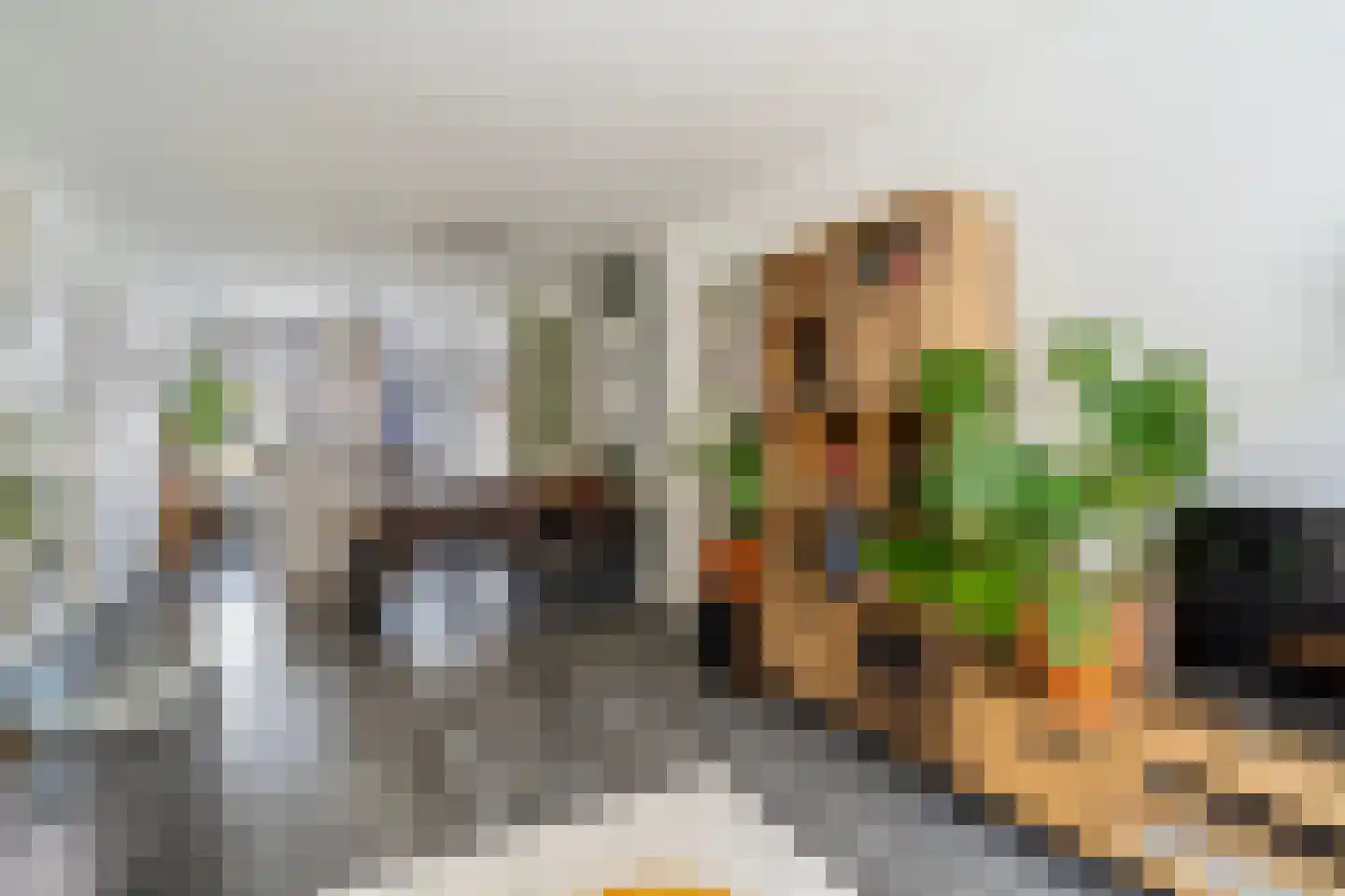 Bisschopstraat 21 B Rotterdam thumbnail 8