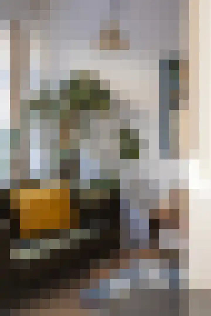 Bisschopstraat 22 A Rotterdam thumbnail 6