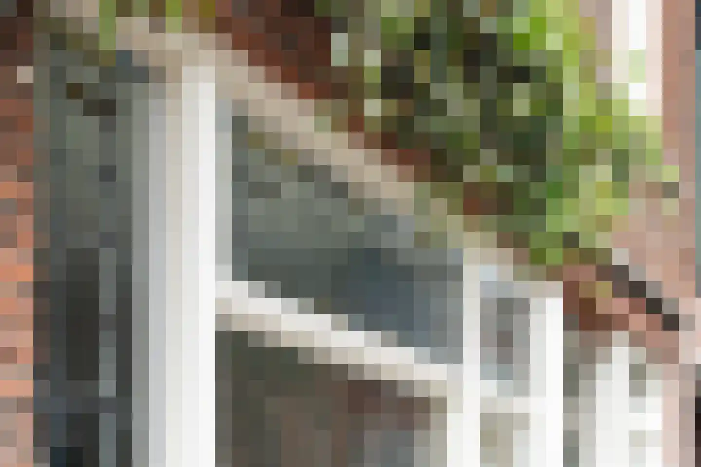 Bisschopstraat 31 B Rotterdam thumbnail 41