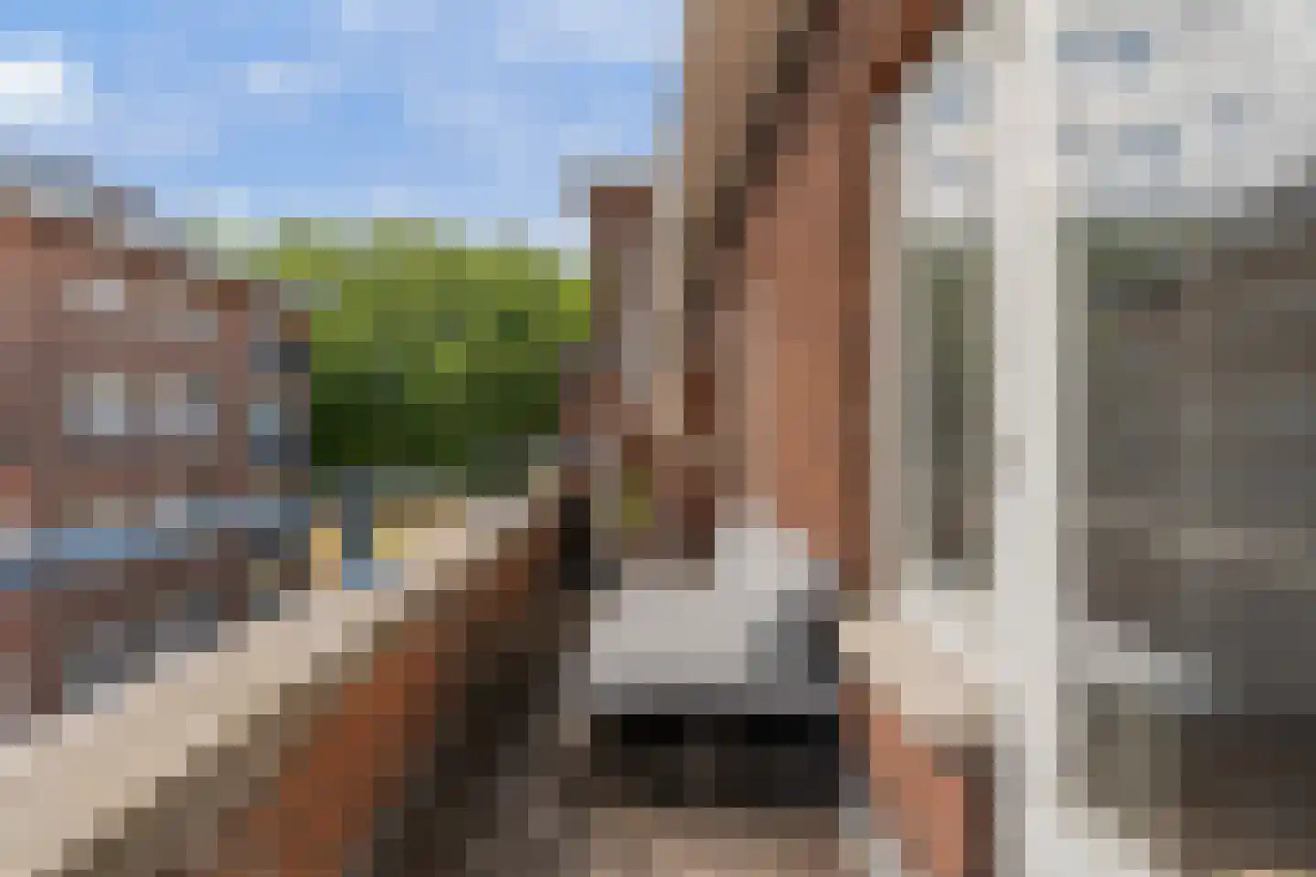 Bisschopstraat 33 B Rotterdam thumbnail 21