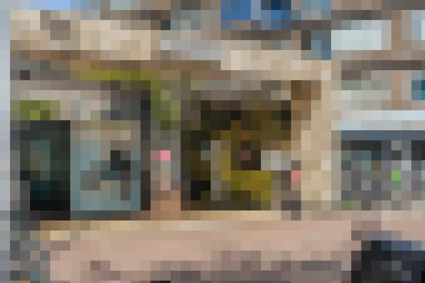 Bisschopstraat 33 B Rotterdam thumbnail 34