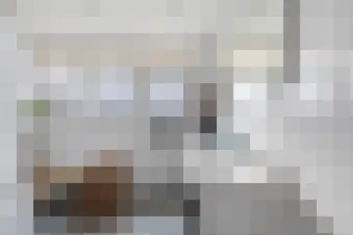 Bisschopstraat 34 A Rotterdam thumbnail 36