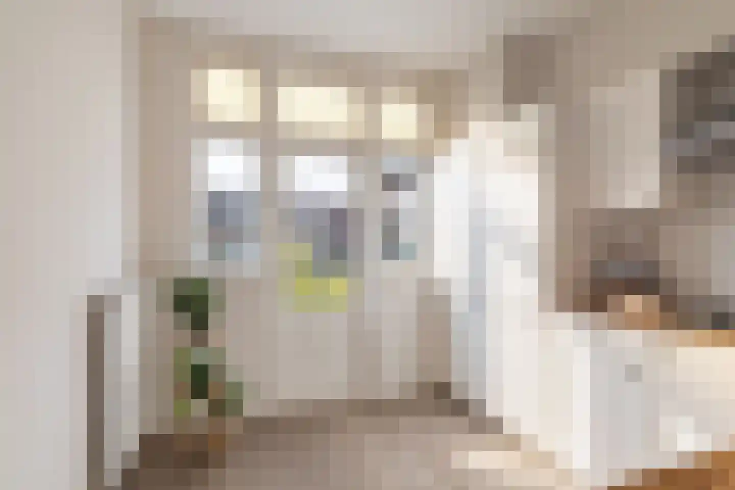 Bisschopstraat 36 A Rotterdam thumbnail 8