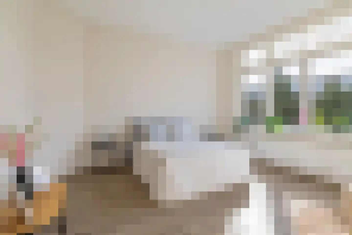 Bisschopstraat 36 B 02 Rotterdam thumbnail 11