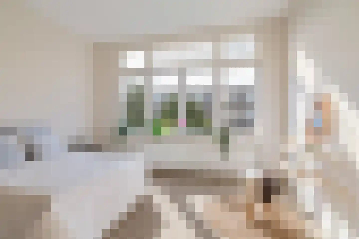 Bisschopstraat 36 B 02 Rotterdam thumbnail 12