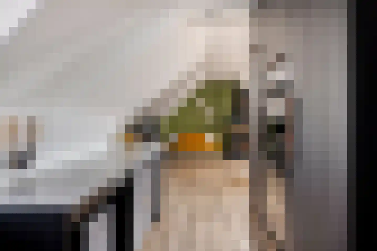 Bisschopstraat 37 b Oldenzaal thumbnail 19