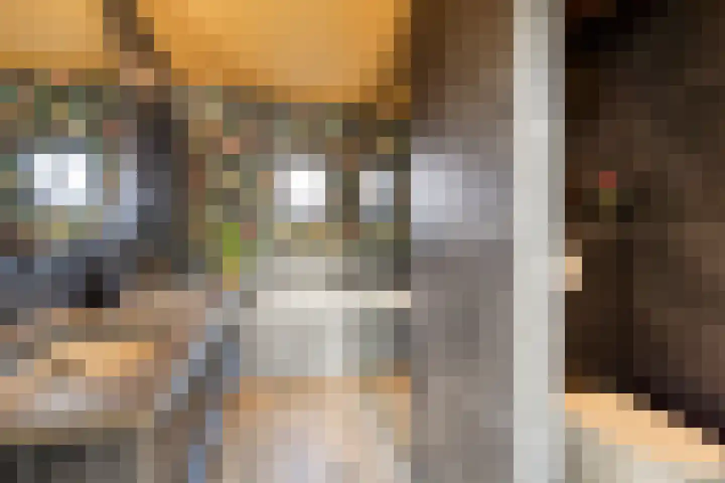 Bisschopstraat 37 b Oldenzaal thumbnail 26