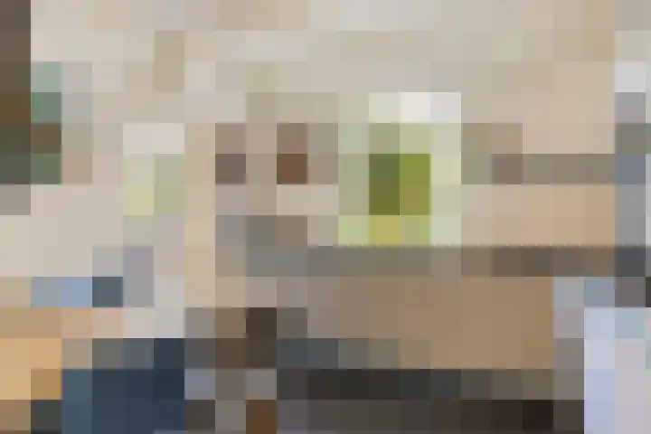 Bisschopstraat 37 Serooskerke thumbnail 16