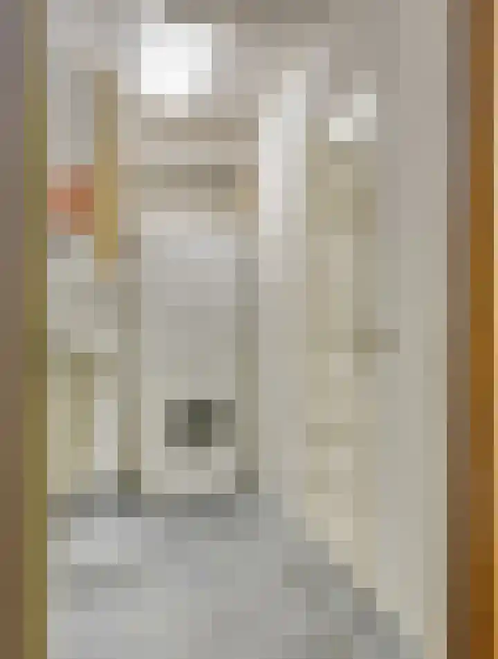 Bisschopstraat 37 Serooskerke thumbnail 18