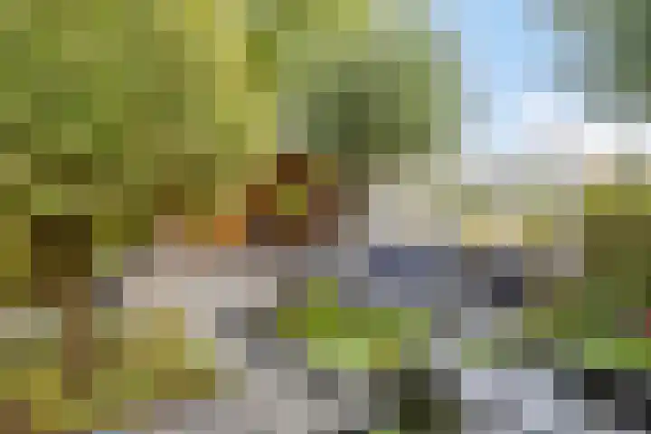 Bisschopstraat 37 Serooskerke thumbnail 33