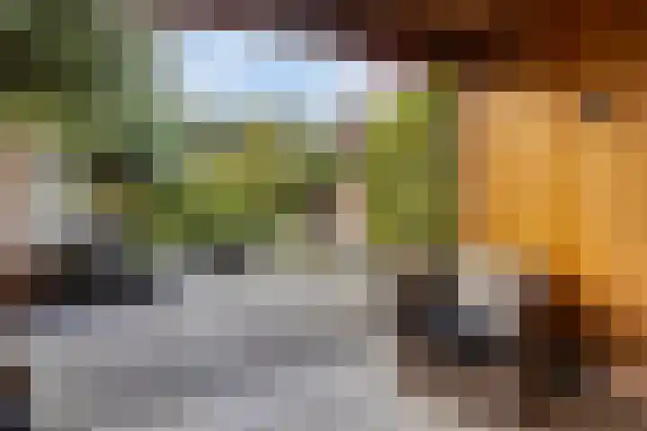 Bisschopstraat 37 Serooskerke thumbnail 36
