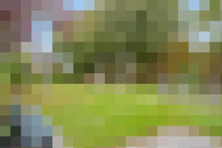 Bisschopstraat 37 Serooskerke thumbnail 42