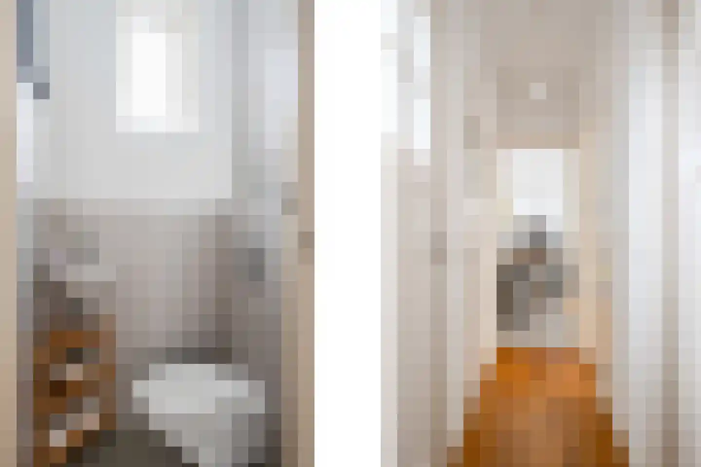 Bisschopstraat 38 B Rotterdam thumbnail 25