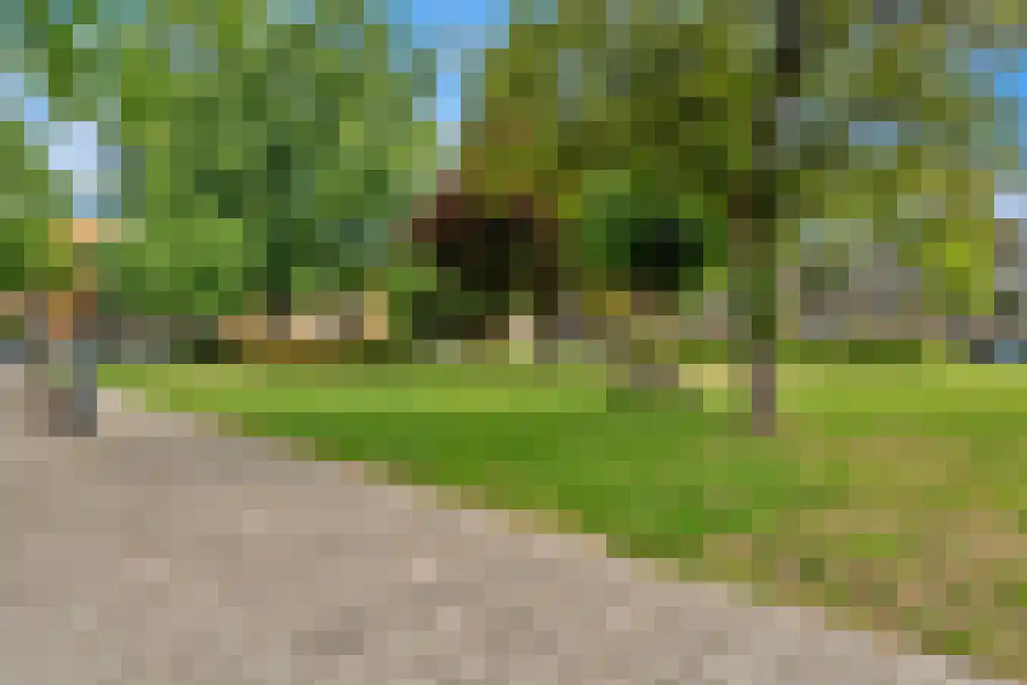 Bisschopstraat 38 B Rotterdam thumbnail 34
