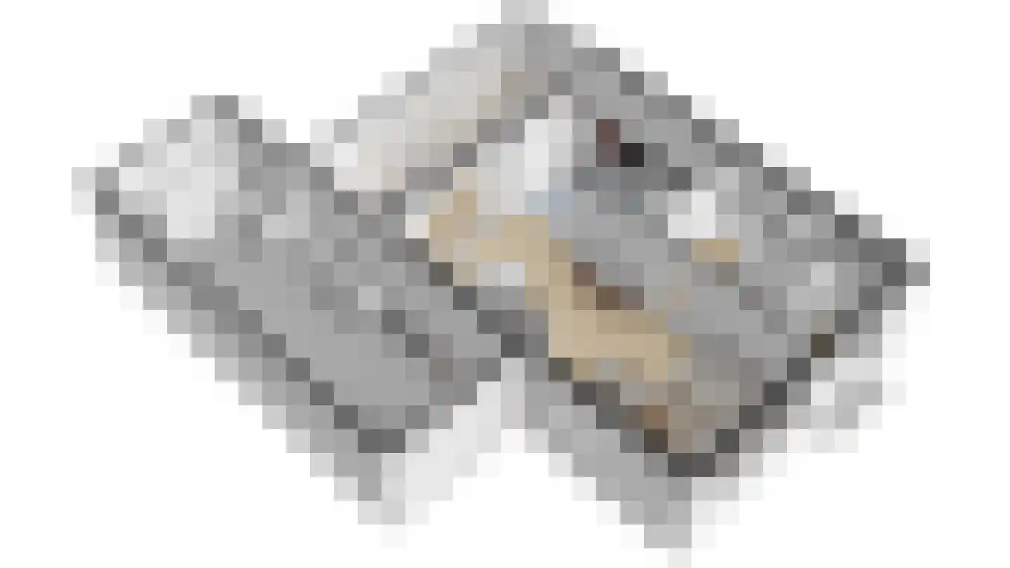 Bisschopstraat 47 Serooskerke thumbnail 14
