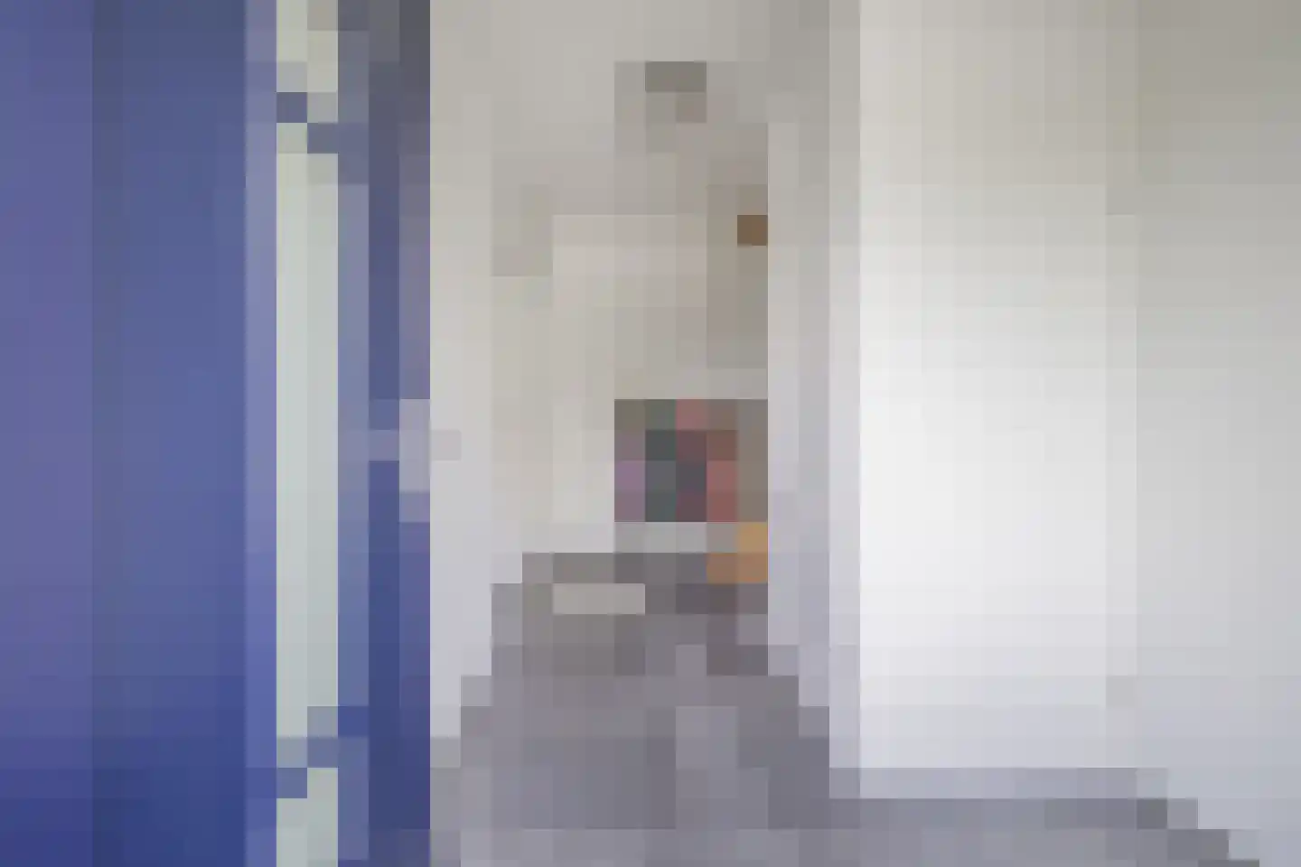 Bisschopstraat 47 Serooskerke thumbnail 15