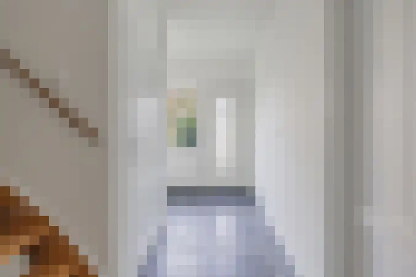 Bisschopstraat 47 Serooskerke thumbnail 16
