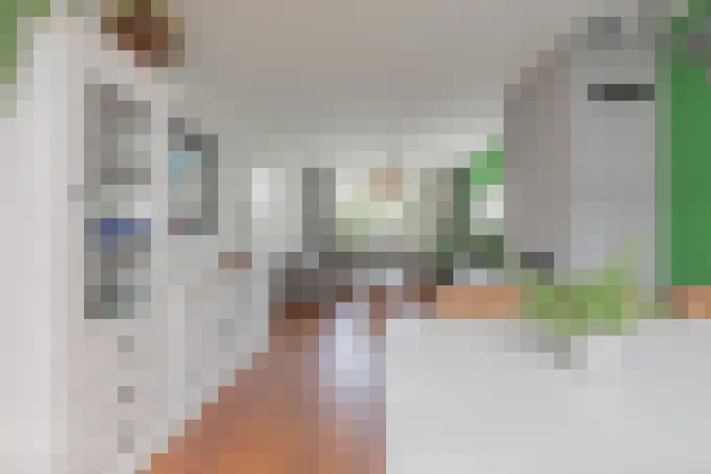 Bisschopstraat 47 Serooskerke thumbnail 24
