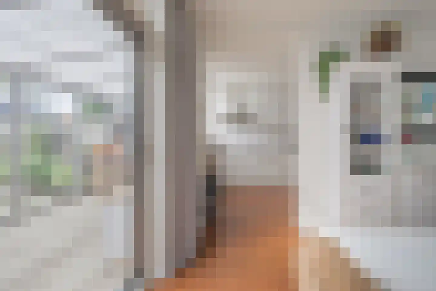 Bisschopstraat 47 Serooskerke thumbnail 25