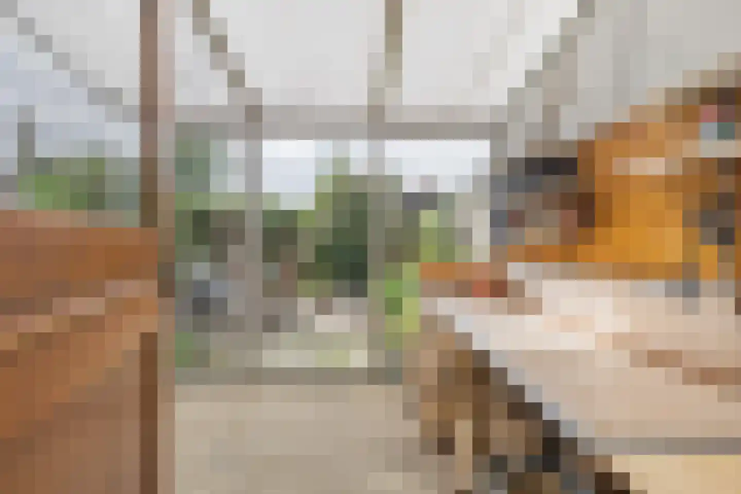 Bisschopstraat 47 Serooskerke thumbnail 26