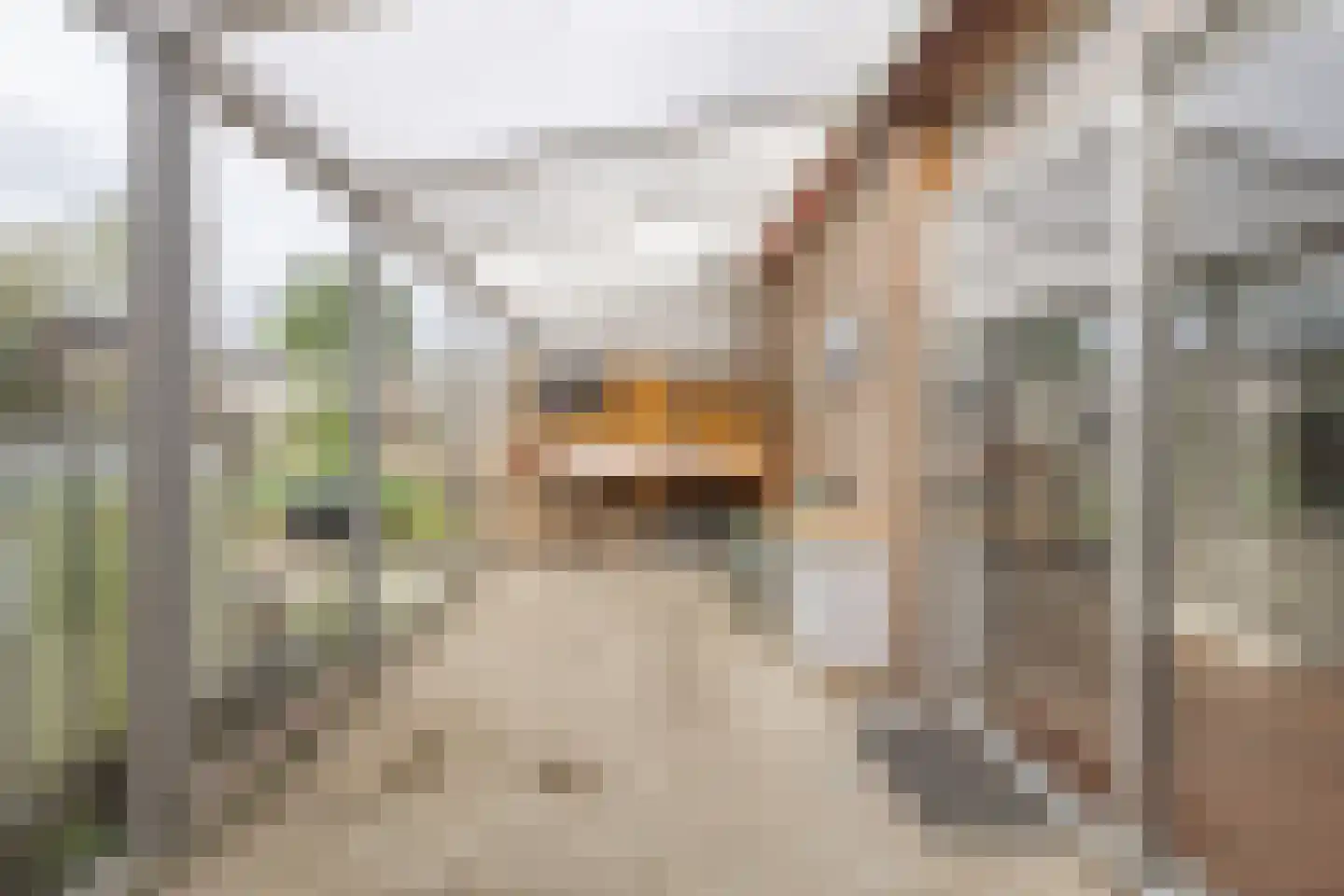 Bisschopstraat 47 Serooskerke thumbnail 28