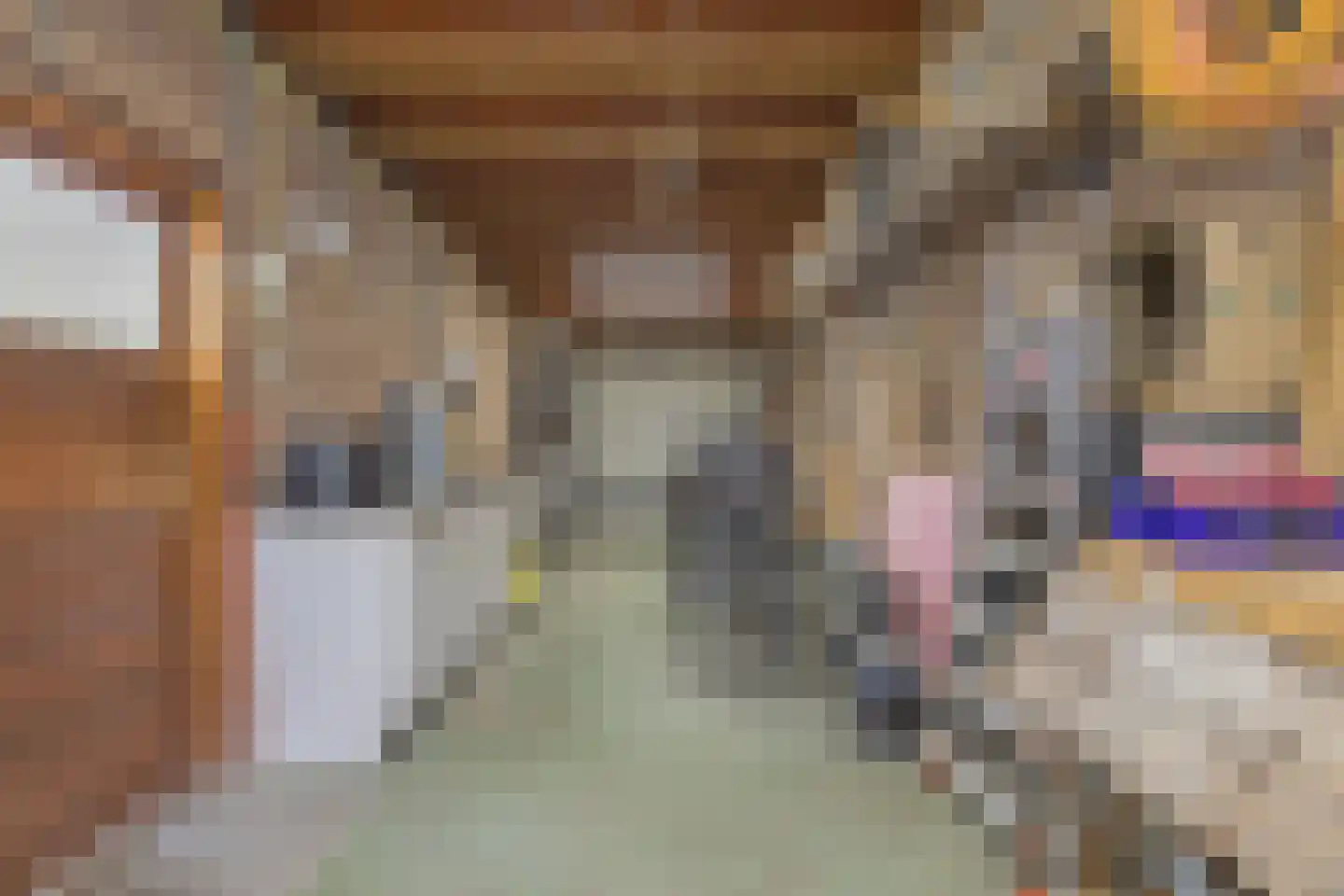 Bisschopstraat 47 Serooskerke thumbnail 30
