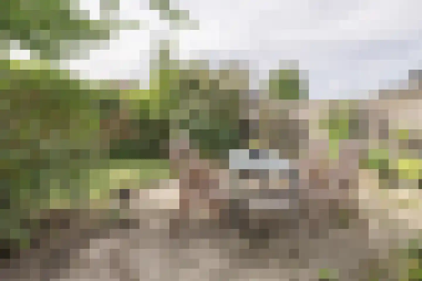 Bisschopstraat 47 Serooskerke thumbnail 33