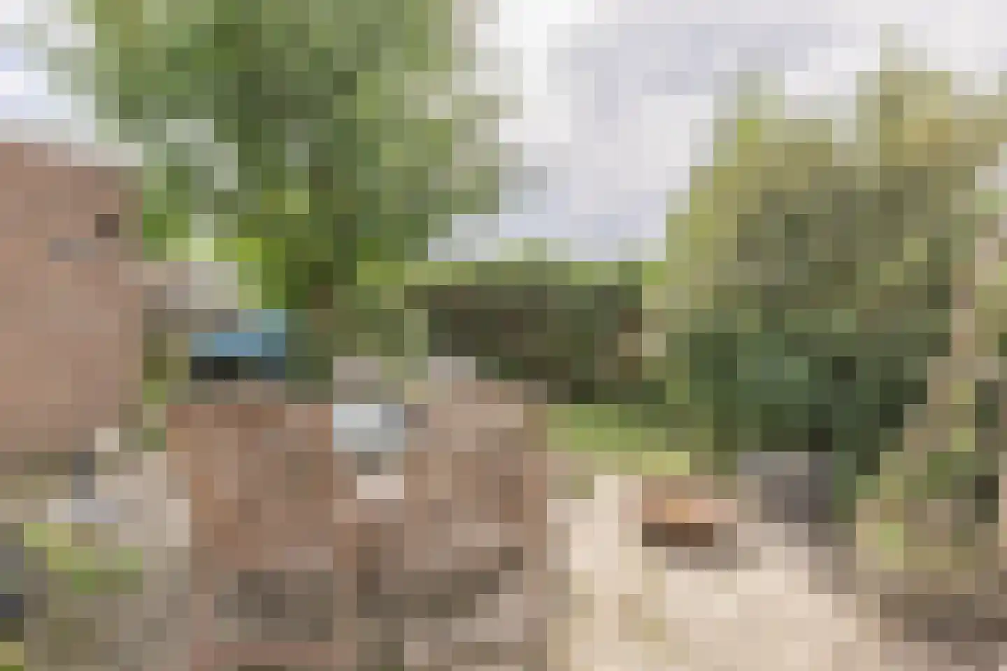 Bisschopstraat 47 Serooskerke thumbnail 34