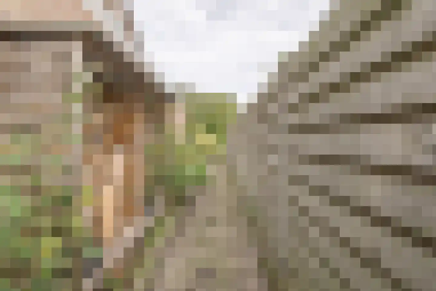 Bisschopstraat 47 Serooskerke thumbnail 35