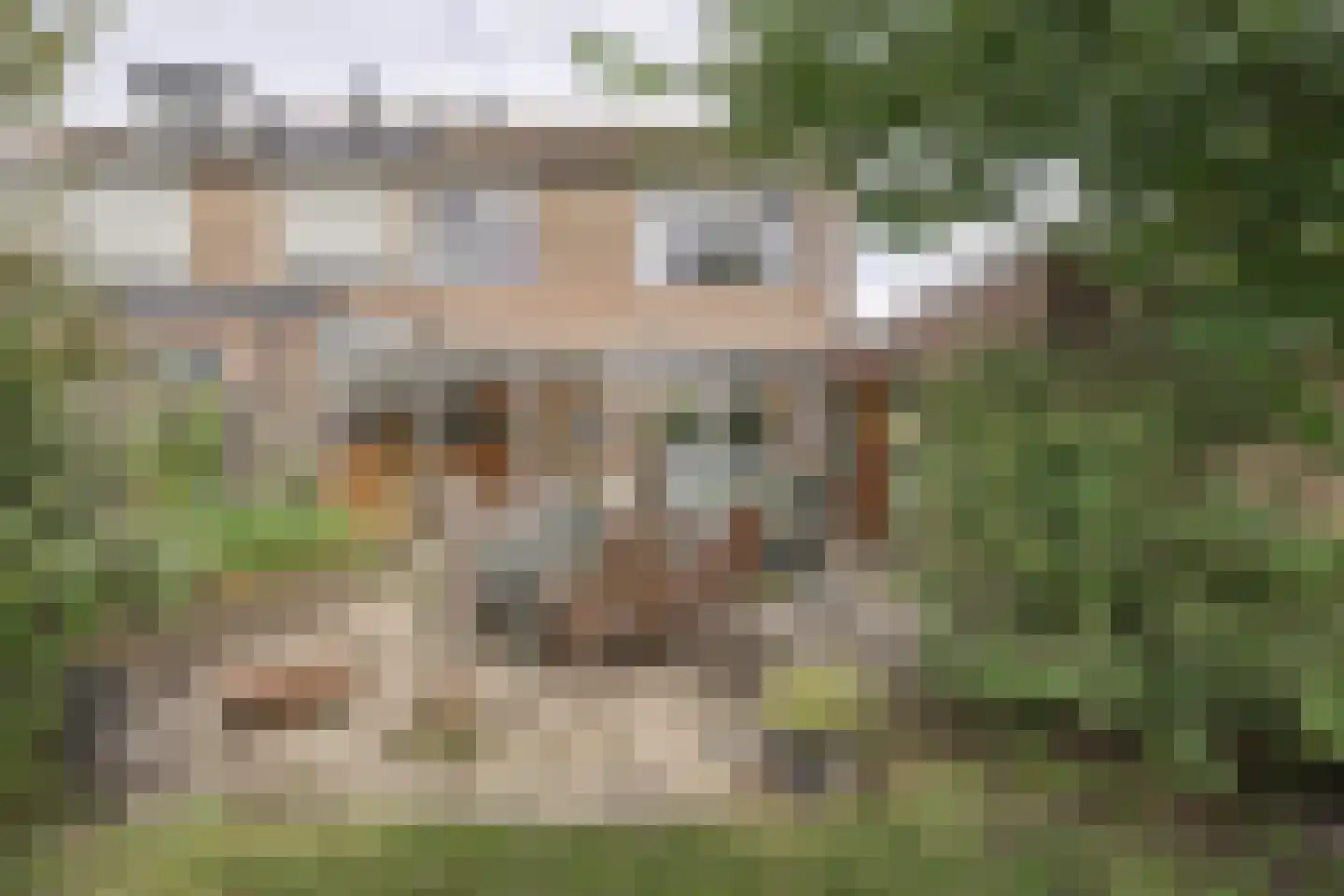 Bisschopstraat 47 Serooskerke thumbnail 36