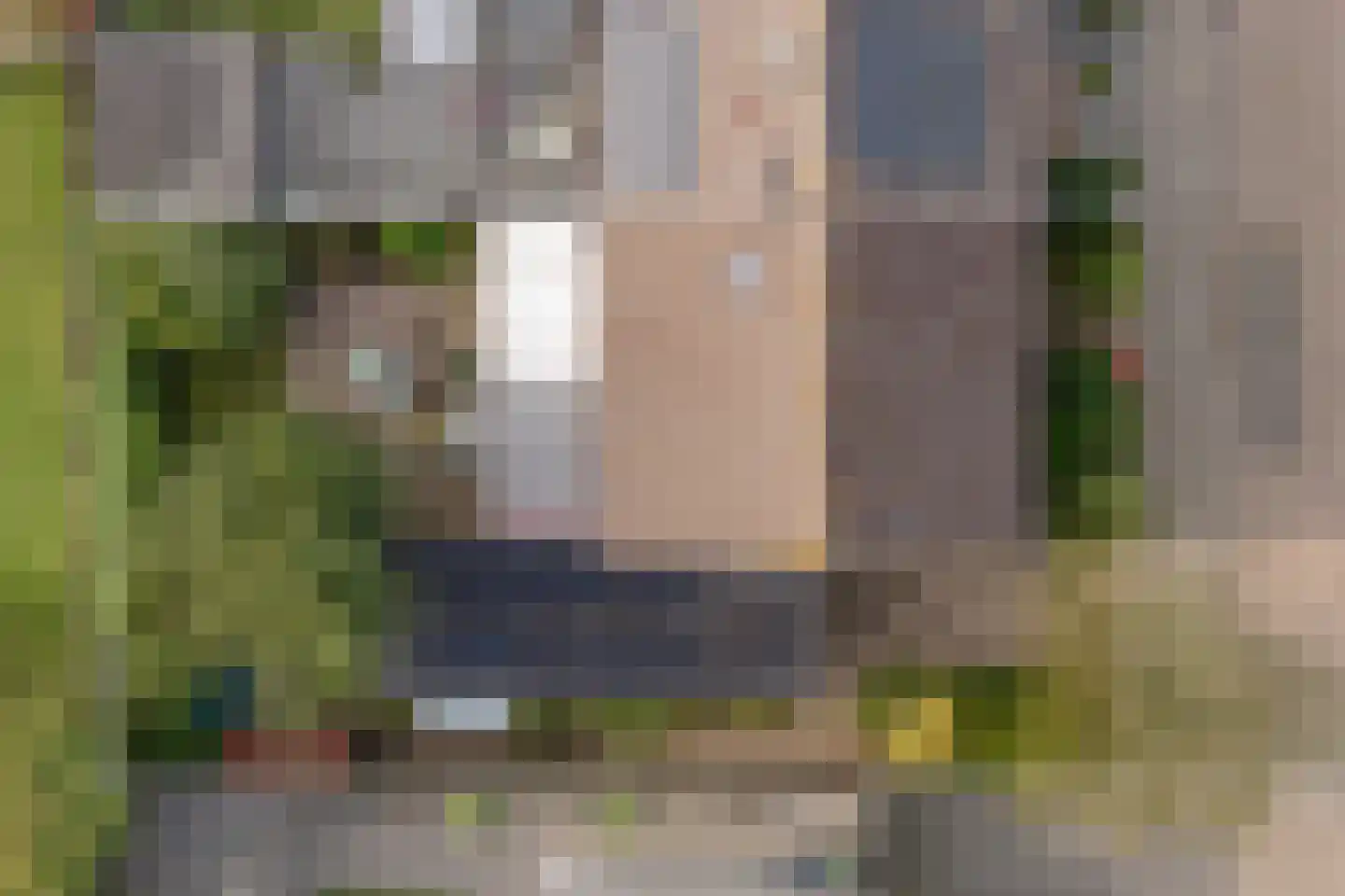 Bisschopstraat 47 Serooskerke thumbnail 37