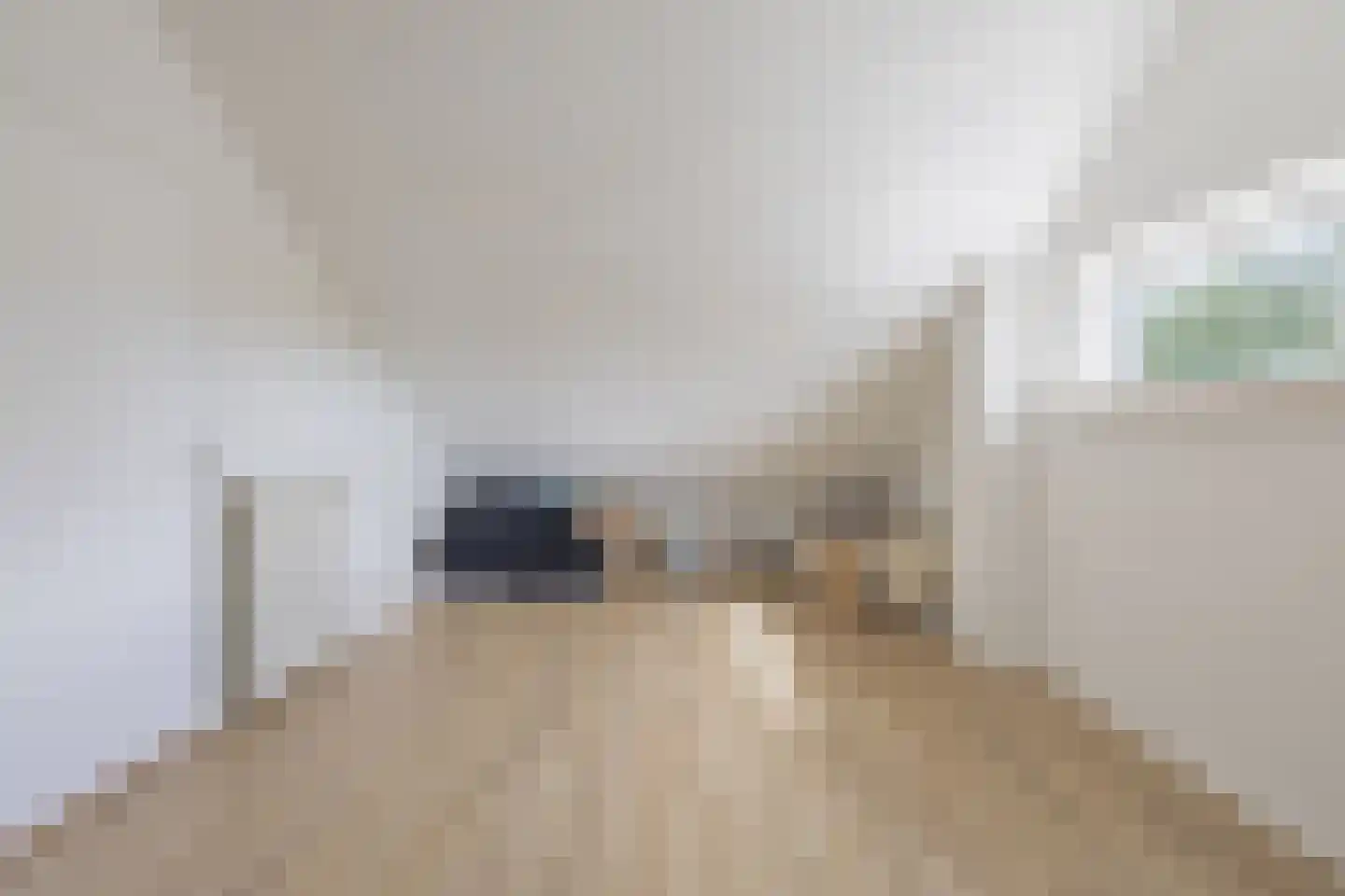Bisschopstraat 47 Serooskerke thumbnail 60