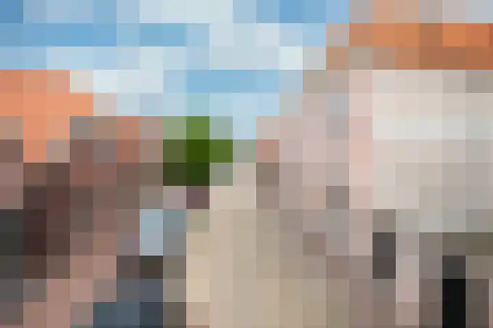 Bisschopstraat 56 a Vollenhove thumbnail 11
