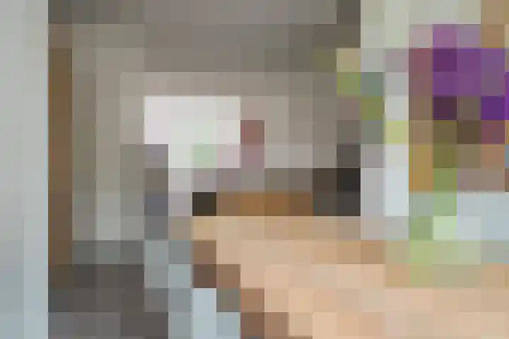 Bisschopstraat 56 a Vollenhove thumbnail 24