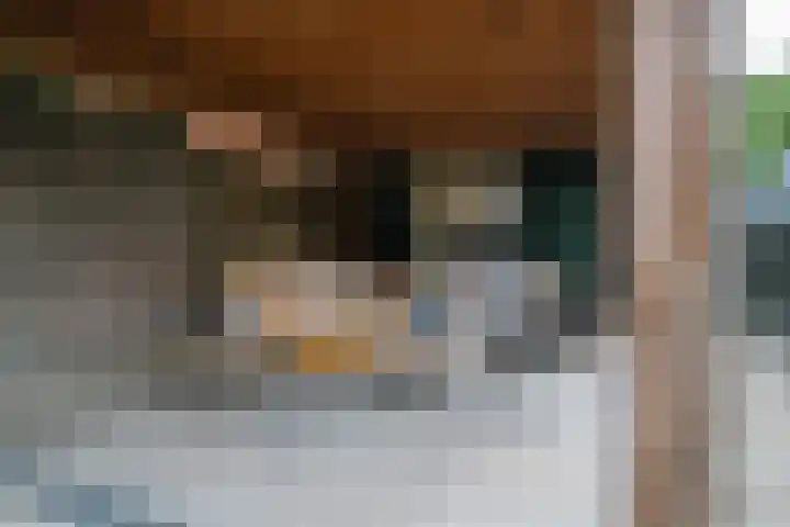 Bisschopstraat 56 a Vollenhove thumbnail 31