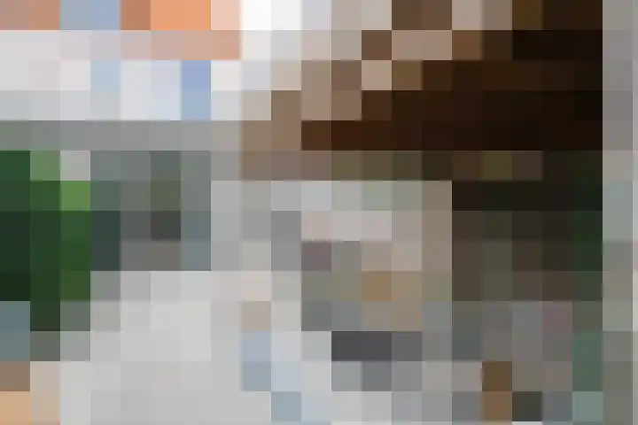 Bisschopstraat 56 a Vollenhove thumbnail 33