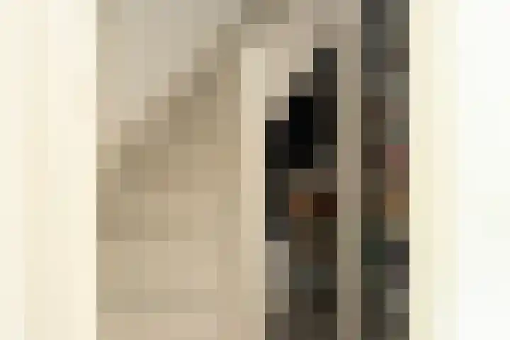 Bisschopstraat 56 a Vollenhove thumbnail 36
