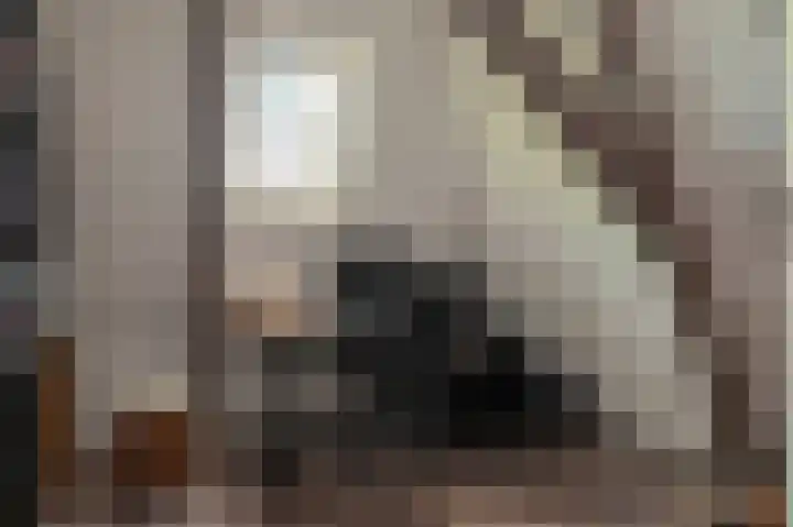 Bisschopstraat 56 a Vollenhove thumbnail 44