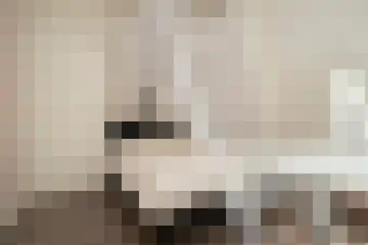 Bisschopstraat 56 a Vollenhove thumbnail 48