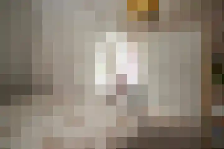 Bisschopstraat 56 a Vollenhove thumbnail 49