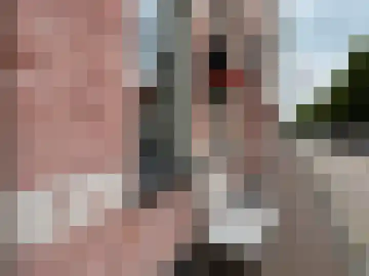 Bisschopstraat 56 a Vollenhove thumbnail 7