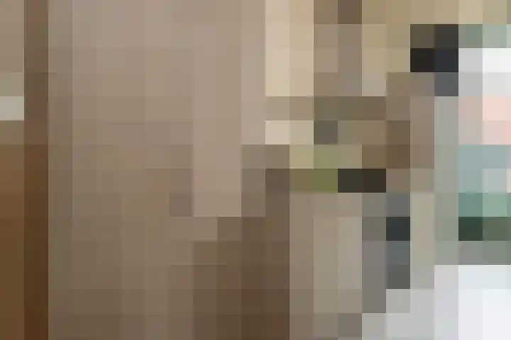 Bisschopstraat 56 Vollenhove thumbnail 16