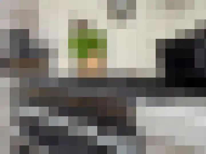 Bisschopstraat 56 Vollenhove thumbnail 17