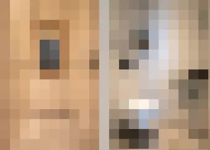 Bisschopstraat 56 Vollenhove thumbnail 20