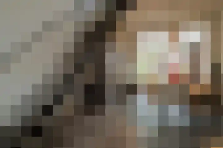 Bisschopstraat 56 Vollenhove thumbnail 21