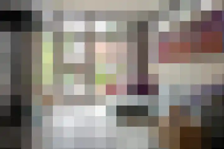 Bisschopstraat 56 Vollenhove thumbnail 23