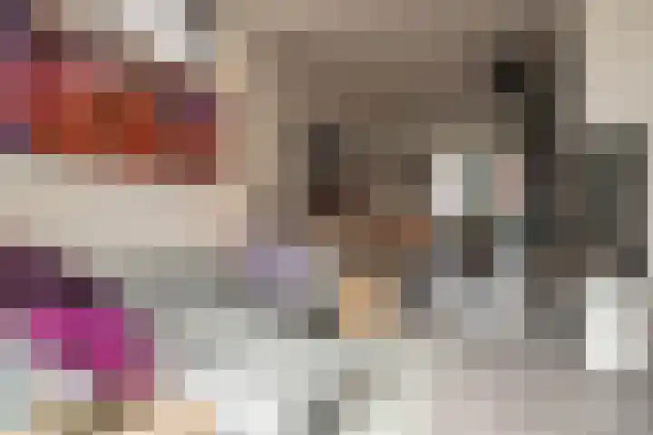 Bisschopstraat 56 Vollenhove thumbnail 24