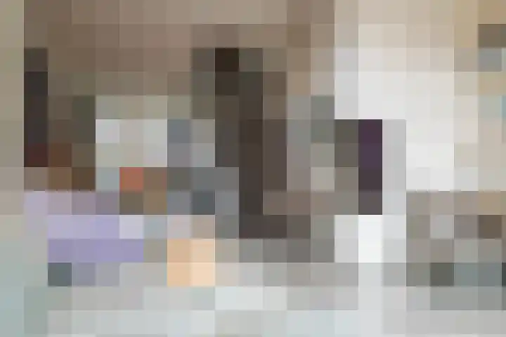 Bisschopstraat 56 Vollenhove thumbnail 25