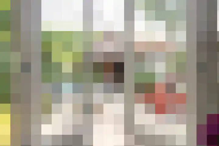 Bisschopstraat 56 Vollenhove thumbnail 28